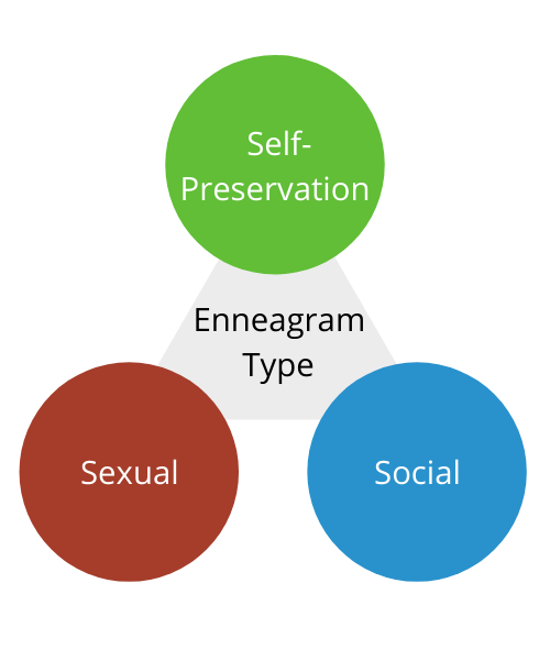 Instinctual variants. Self-preservation, Social Instinct, Sexual Instinct.